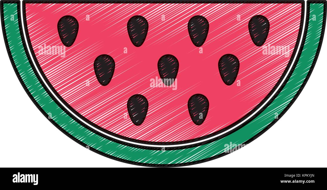 Isolated watermelon design Stock Vector Image & Art - Alamy