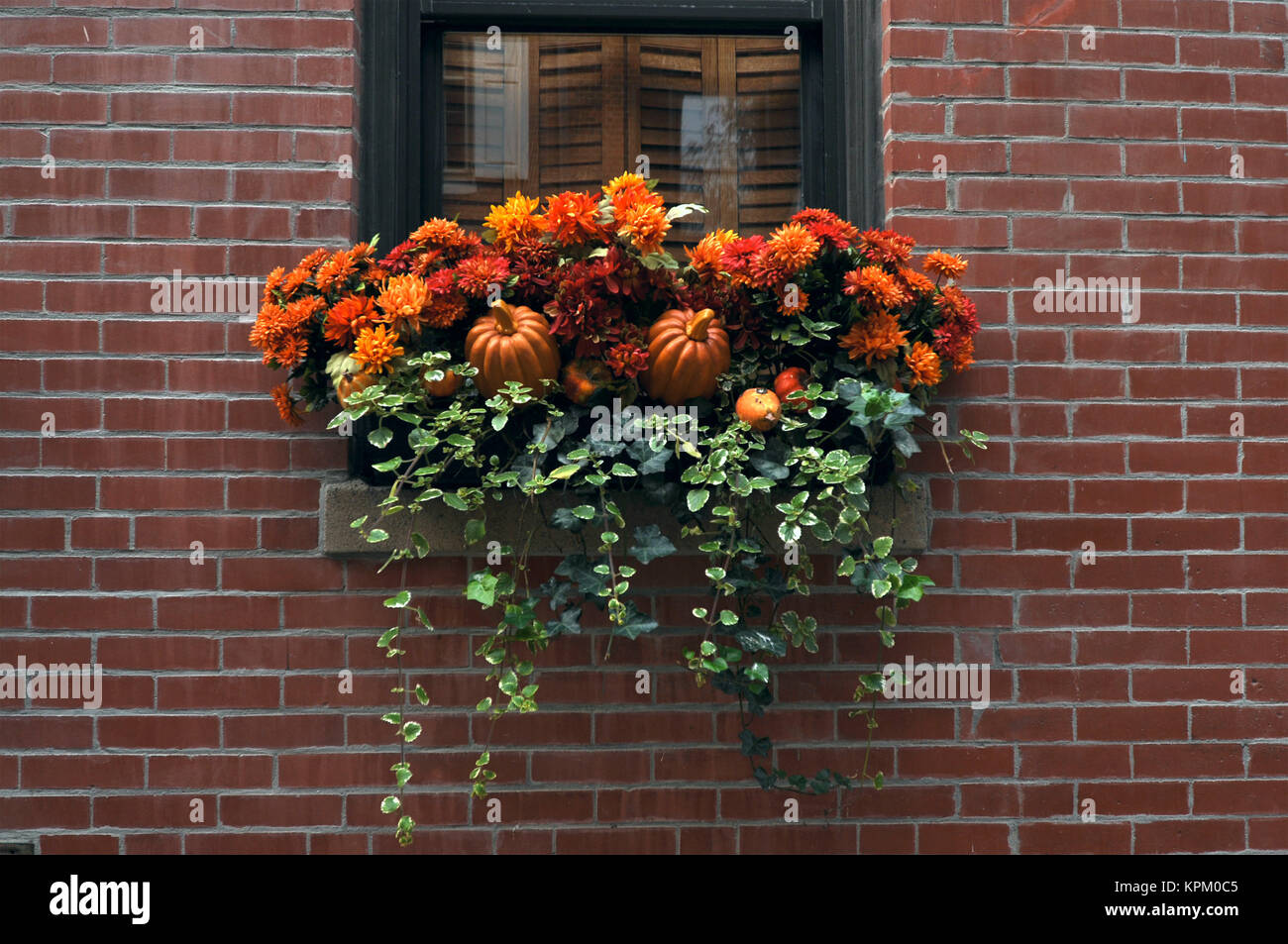Halloween in New England, Boston, Massachusetts, USA Stock Photo Alamy