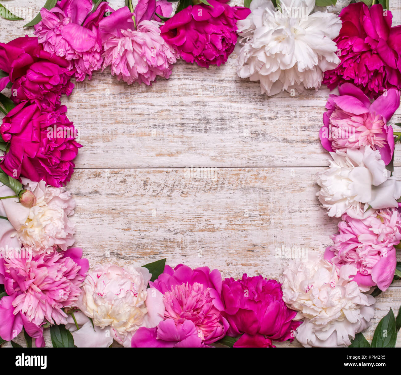 Frame of peonies on a wooden background. Floral design. Pink and purple ...