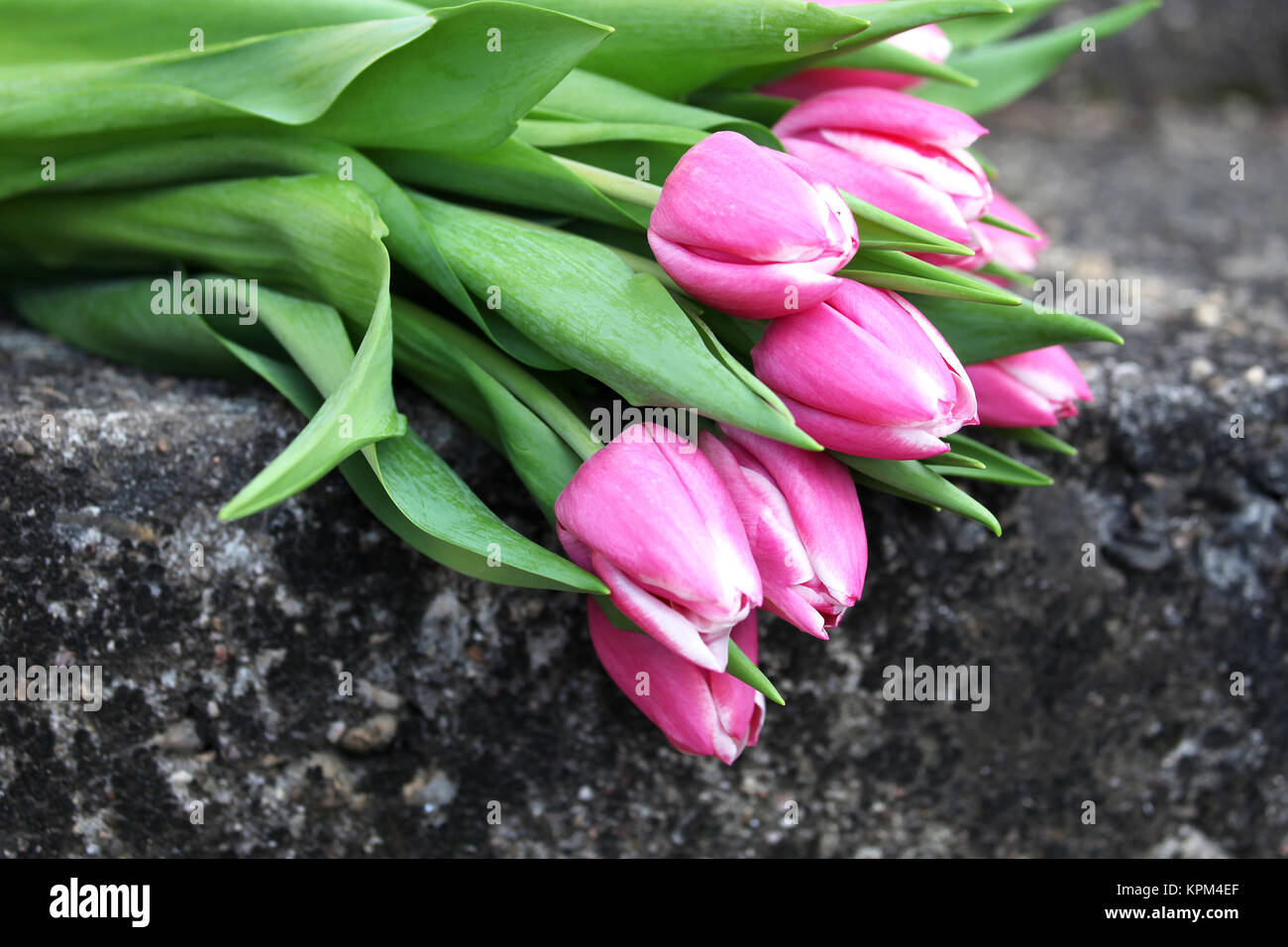 a bouquet of pink tulips on a stone staircase Stock Photo