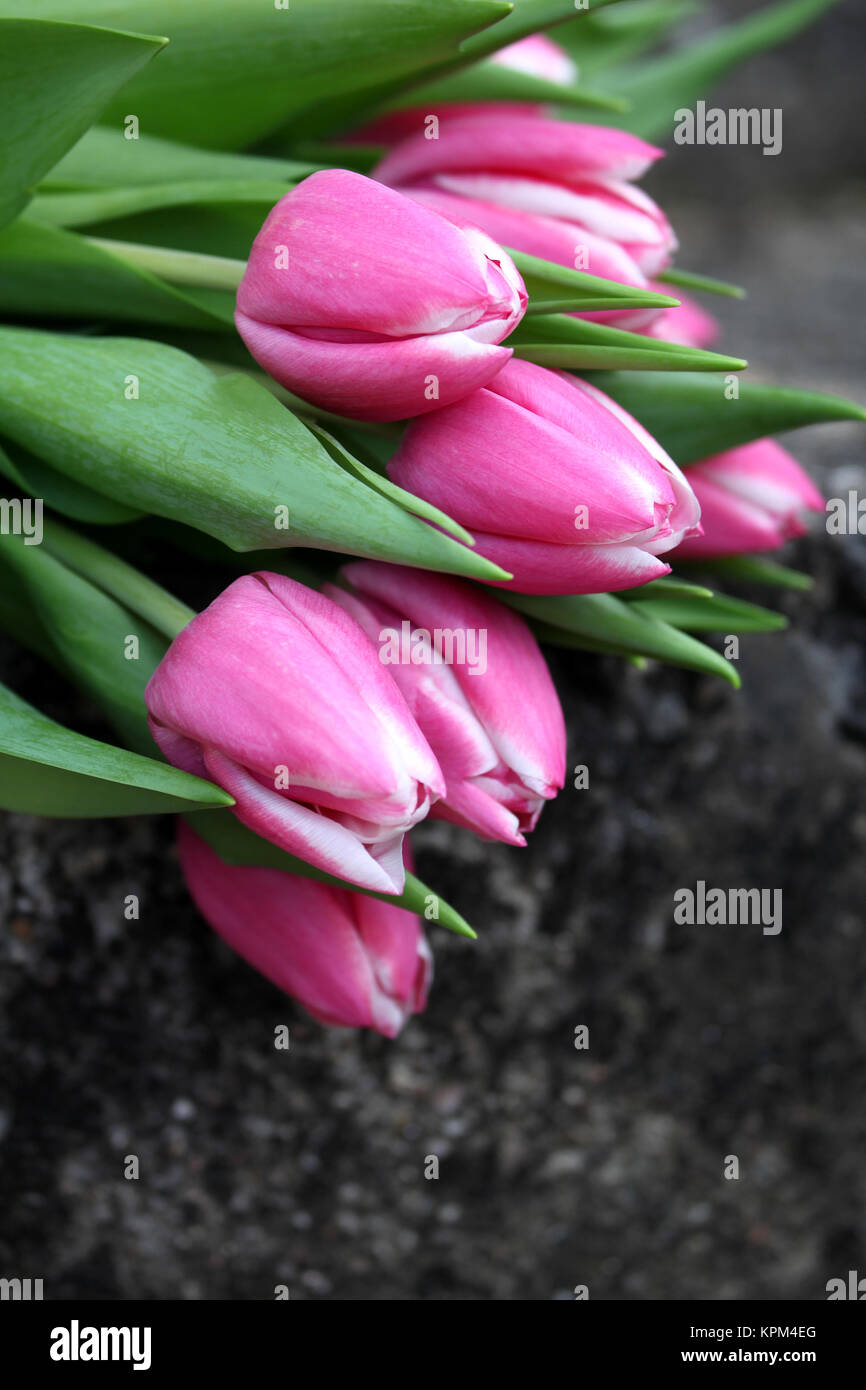 a bouquet of pink tulips on a stone staircase Stock Photo