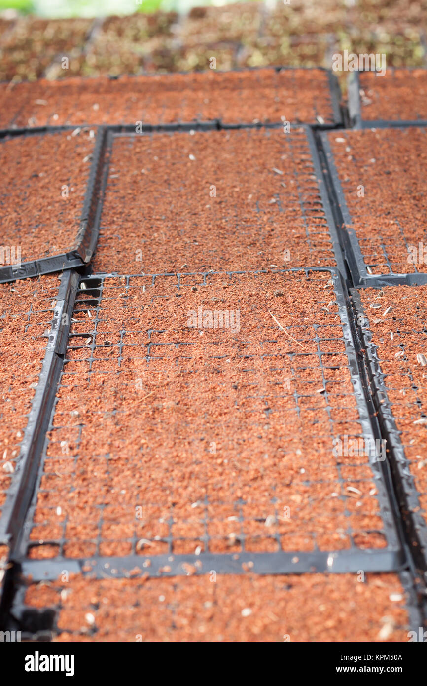 Checkered soil prepare for cultivation Stock Photo