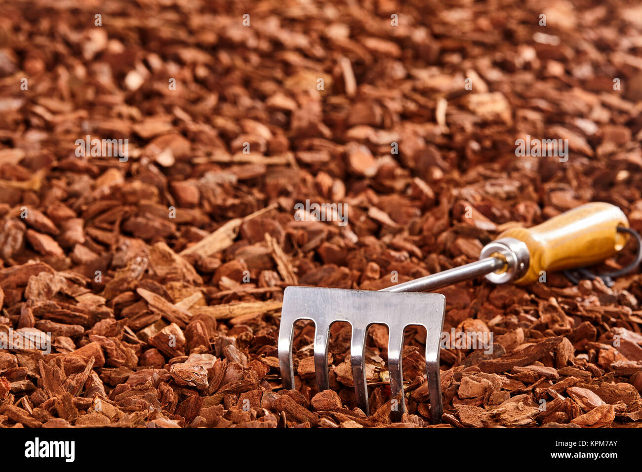 Single small wooden and metal hand rake over brown wood chip mulch pile  with copy space outdoors Stock Photo - Alamy