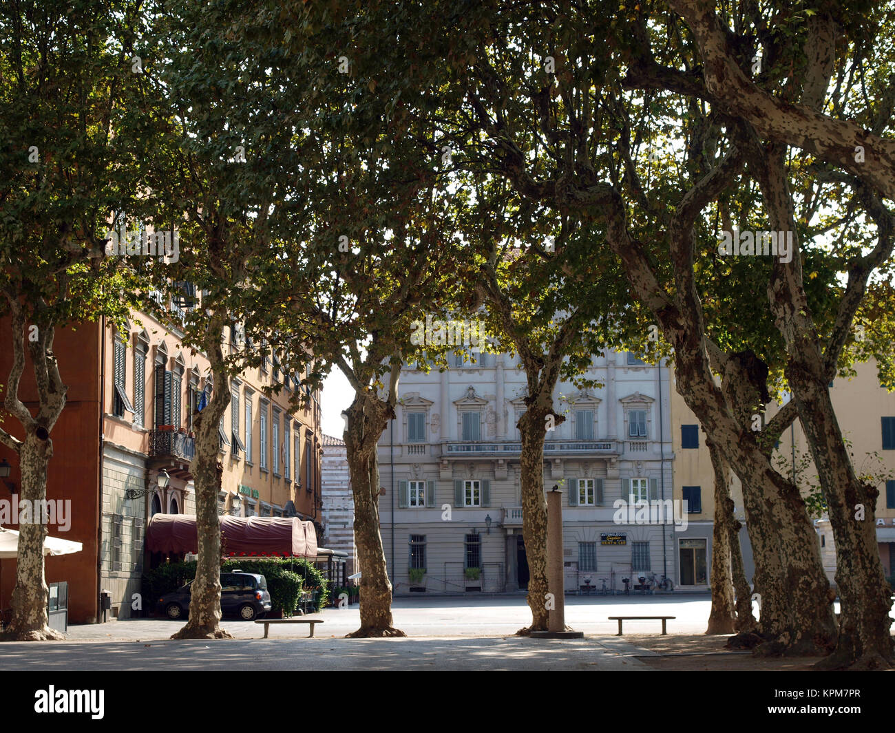 View of the Piazza Napoleone Lucca, Tuscany Stock Photo Alamy
