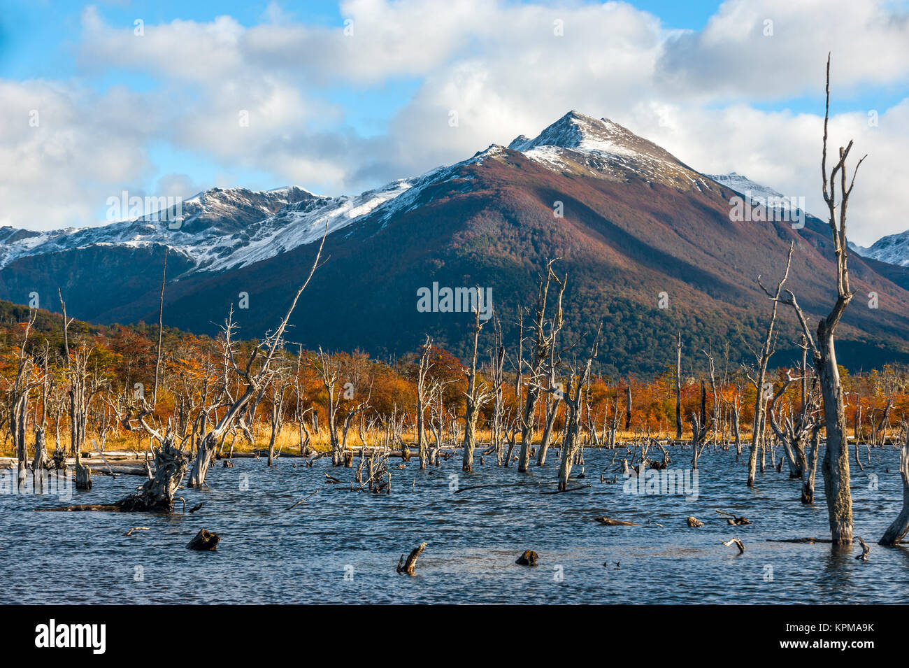 Lake Escondido, Isla Grande de Tierra del Fuego, Argentina Stock Photo