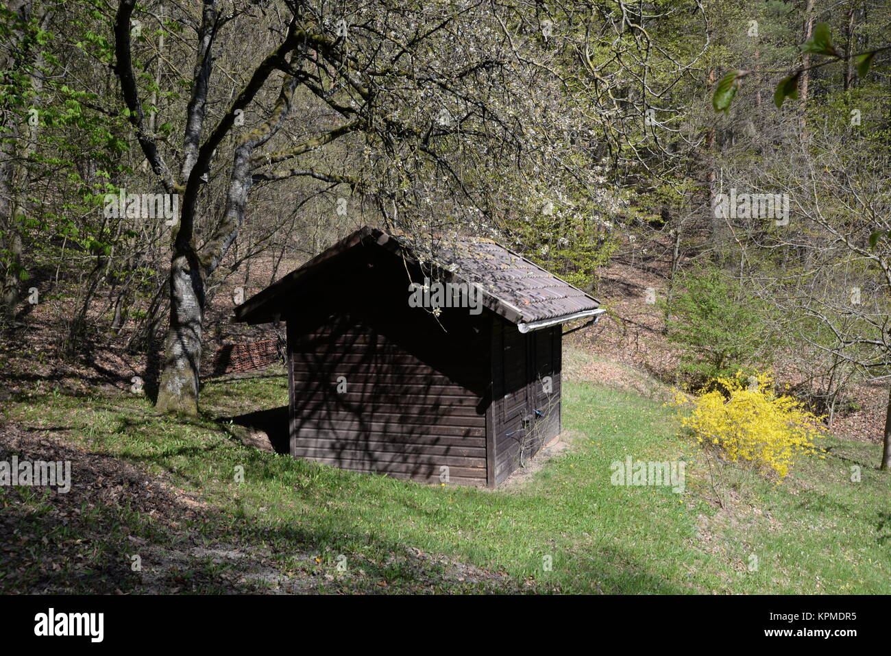 Hütte , Wald, frühling, frühjahr, haus, waldrand, häuschen, rhön, wiese, natur, gebäude Stock Photo