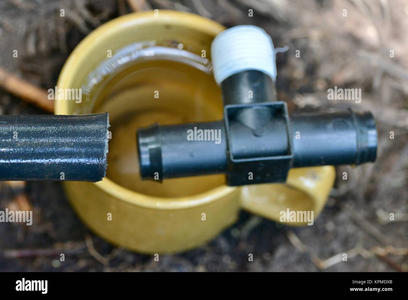 Step by step series on laying irrigation pipe for a home garden, using