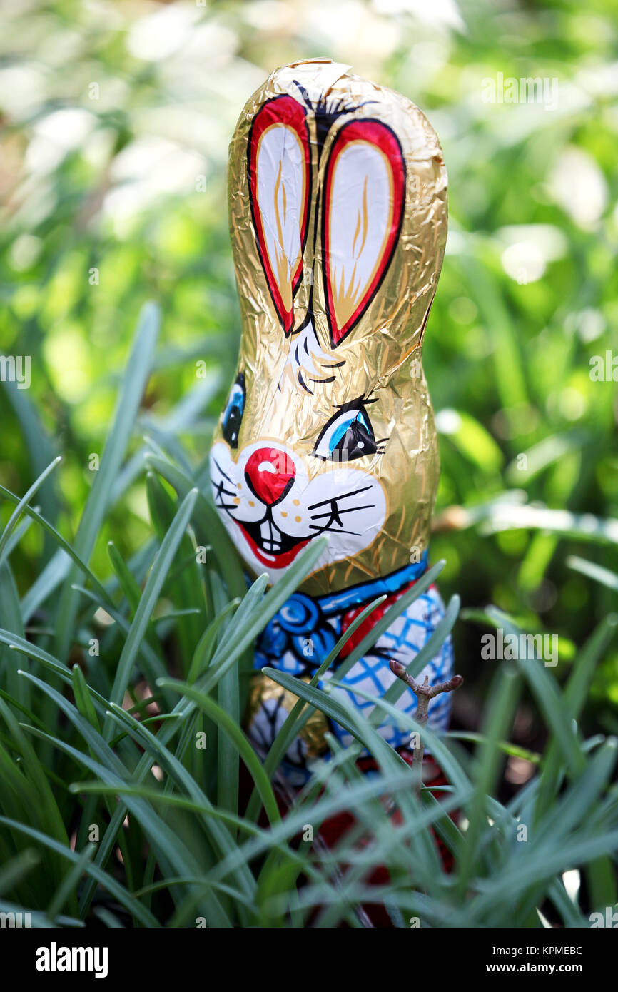 easter bunny in the grass at easter in the garden in an easter basket Stock Photo