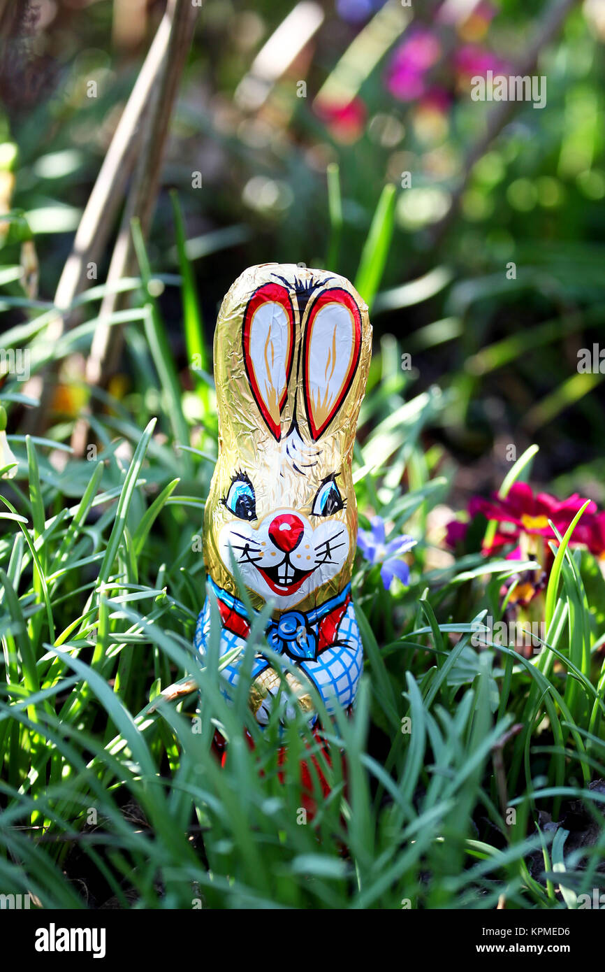 Easter bunny in the grass at Easter in the garden in an Easter nest Stock Photo