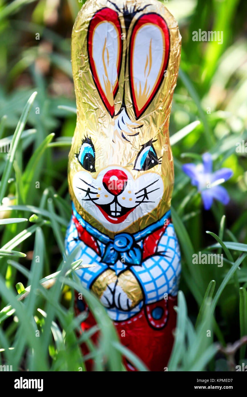 Easter bunny in the grass at Easter in the garden in an Easter nest Stock Photo