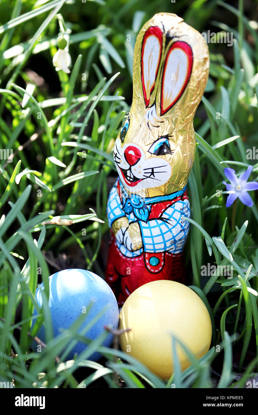 easter bunny and easter eggs in the grass at easter in the garden in an ...