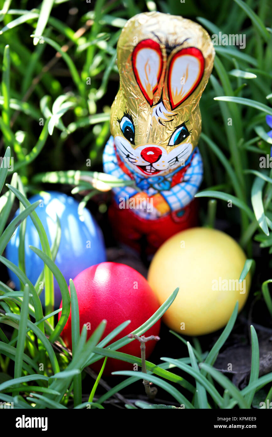 Easter bunny and Easter eggs in the grass at Easter in the garden in an ...
