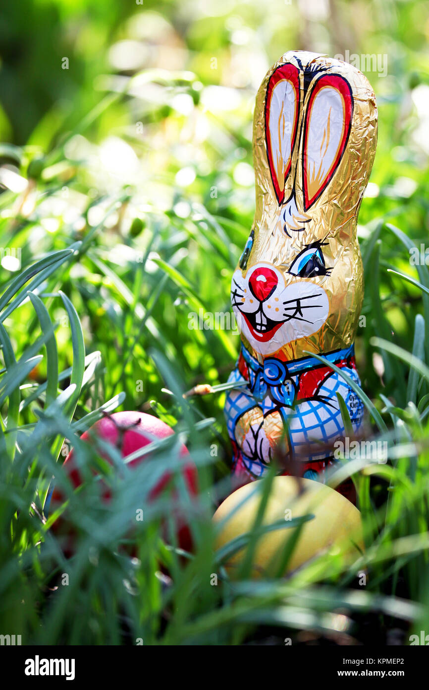 easter bunny and easter eggs in the grass at easter in the garden in an easter basket Stock Photo