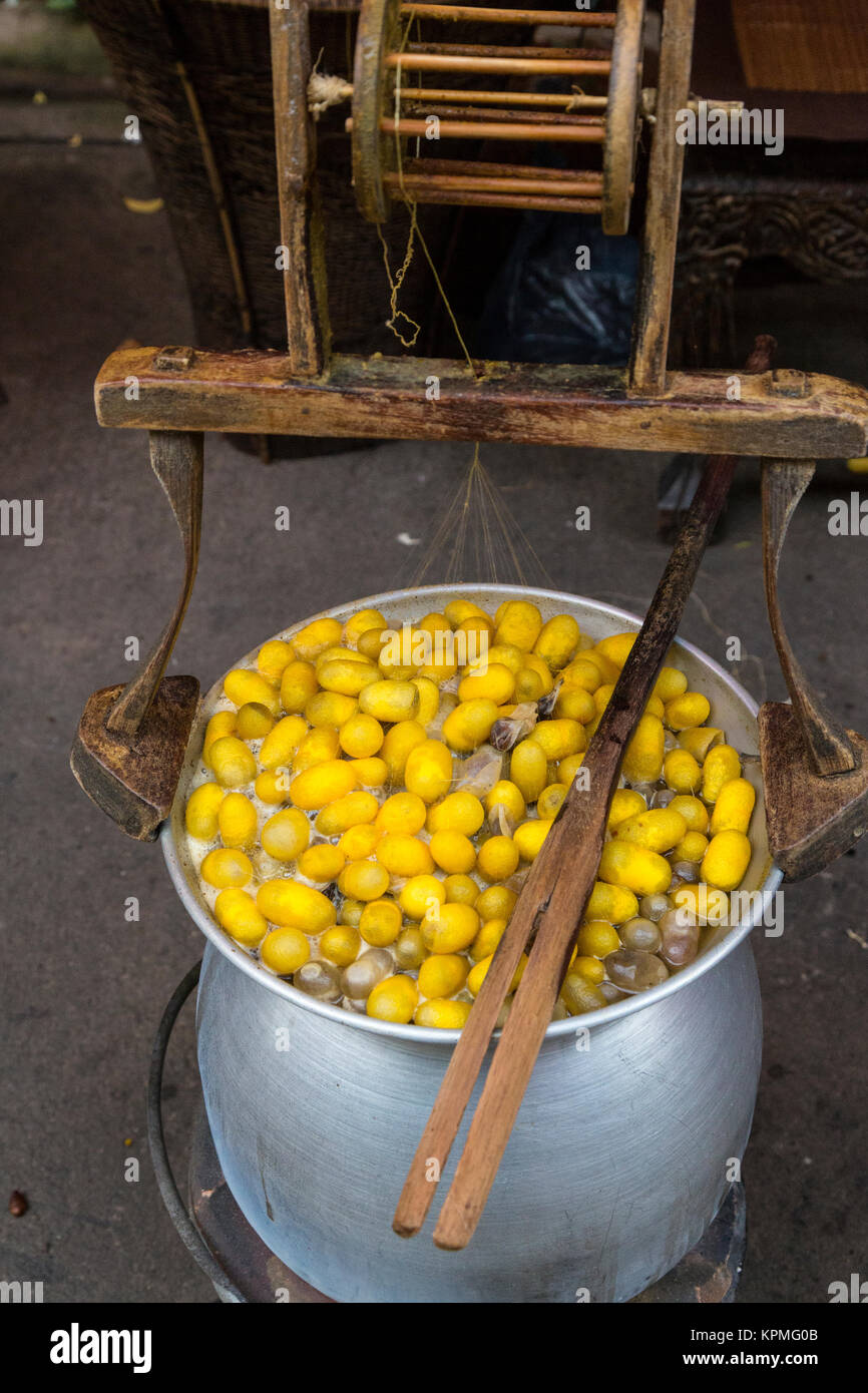 Bangkok, Thailand.  Boiling Thai Raw Silk Cocoons. Stock Photo