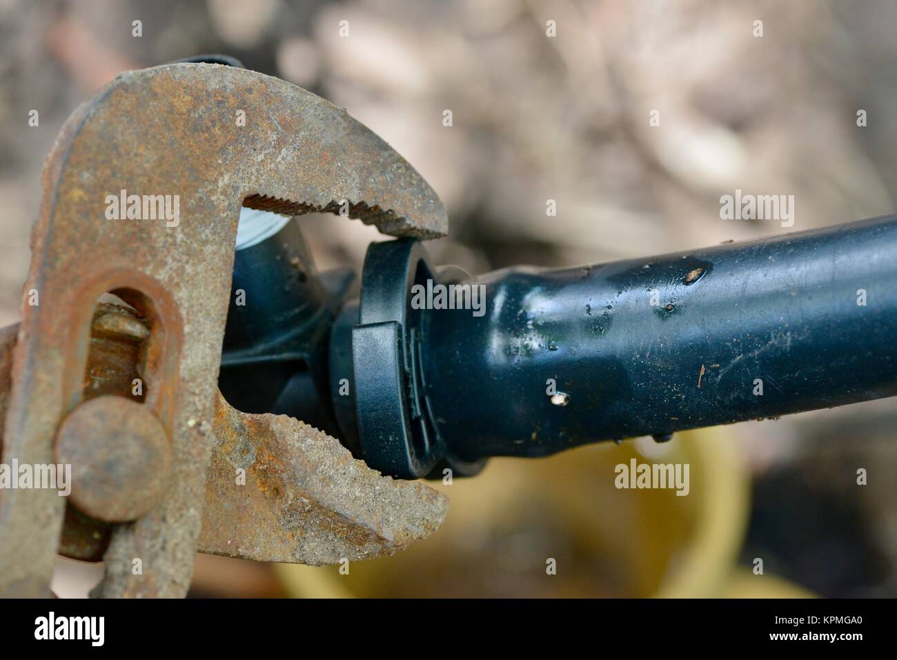 Step by step series on laying irrigation pipe for a home garden, using