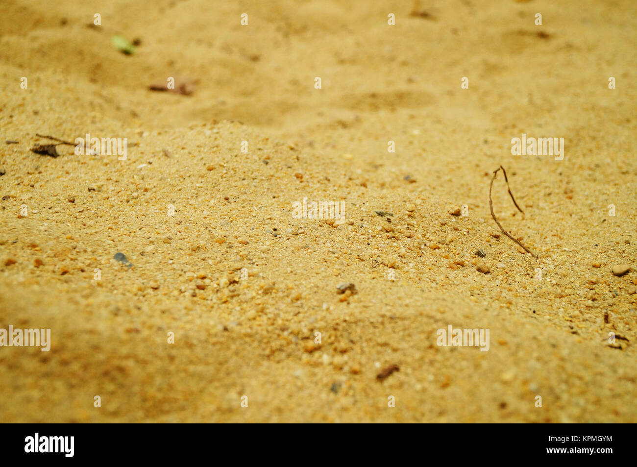 A closeup of the sand. A piece of sand Stock Photo Alamy