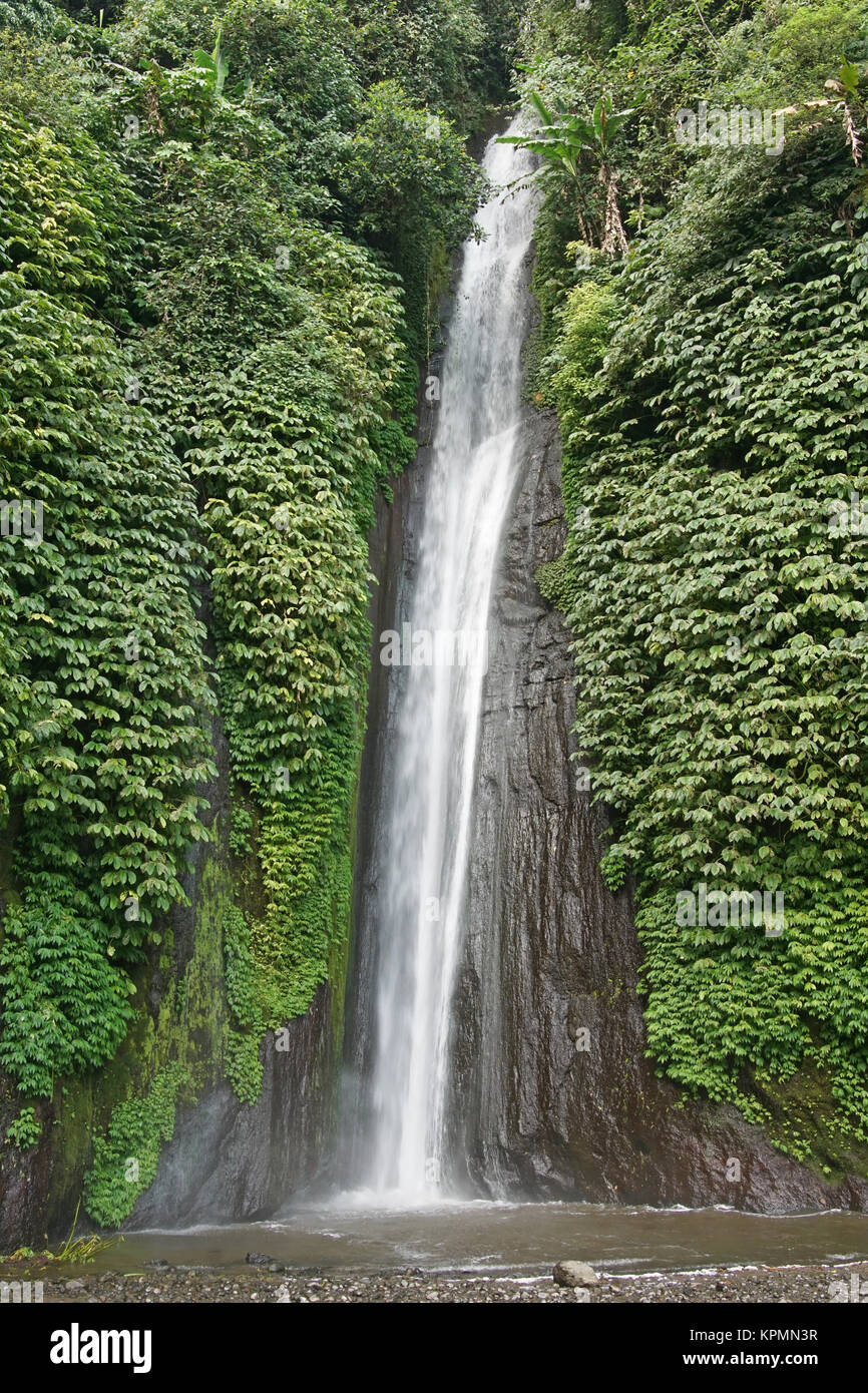 Wasserfall bei Gitgit, Bali, Indonesien Stock Photo