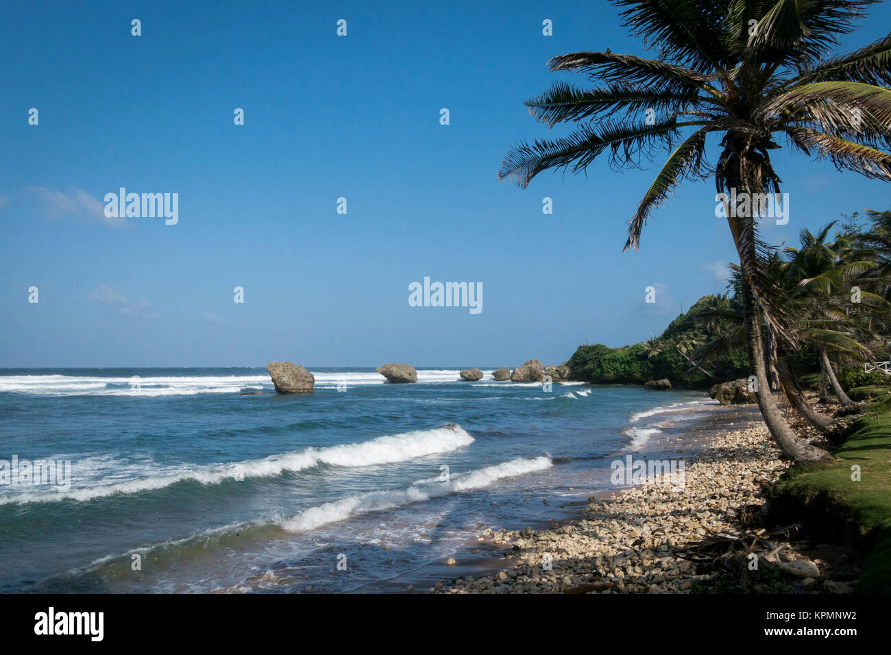 Bathsheba coral reef boulders Stock Photo - Alamy