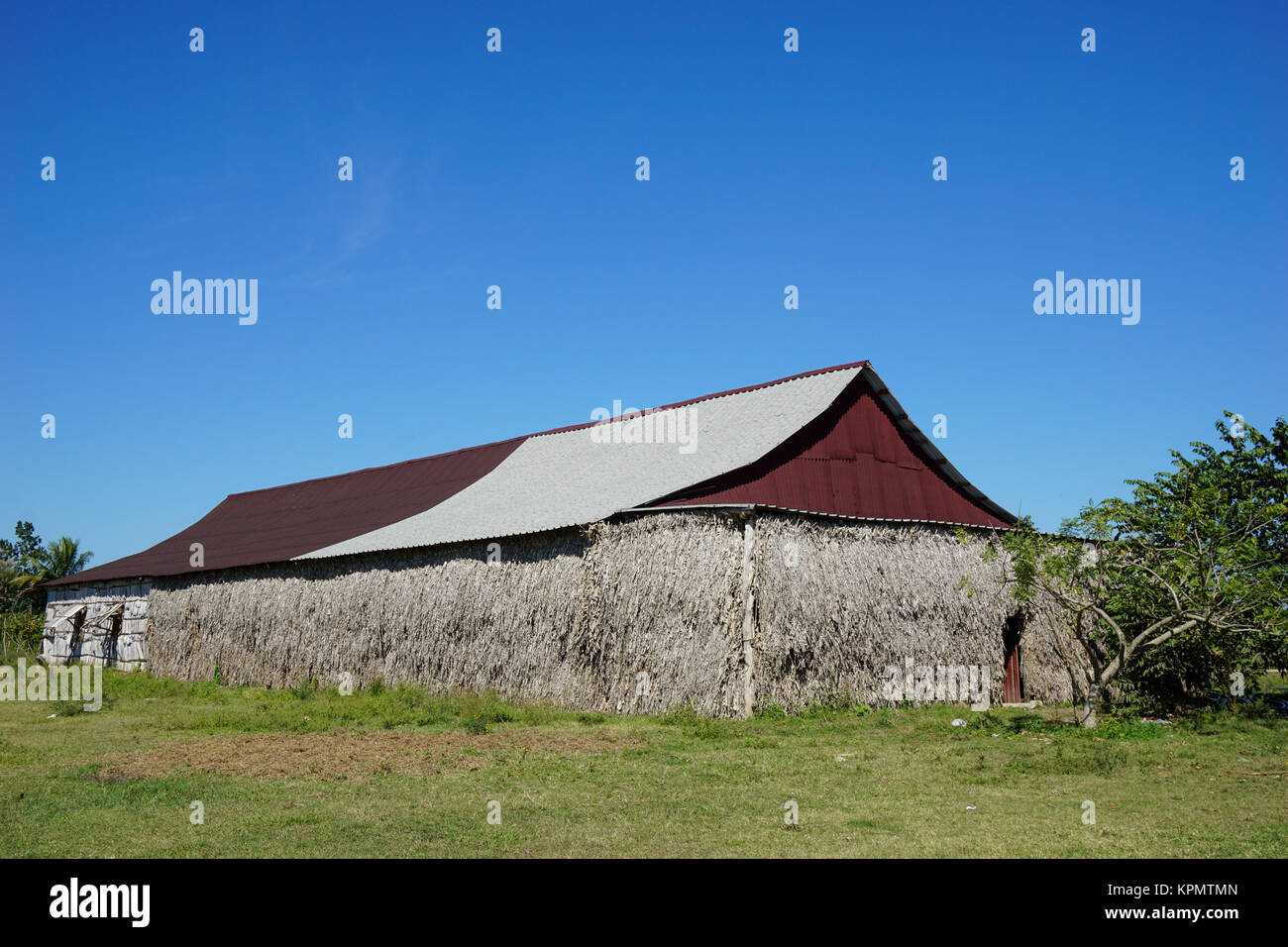 Tropical Agriculture Building Stock Photo
