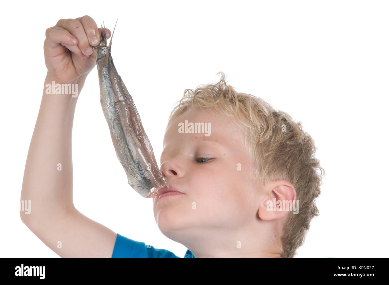 Eating a herring the Dutch way Stock Photo Alamy