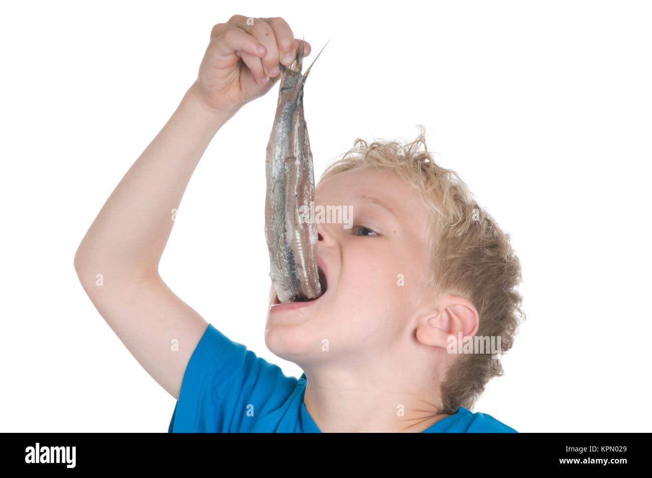Eating a herring the Dutch way Stock Photo Alamy