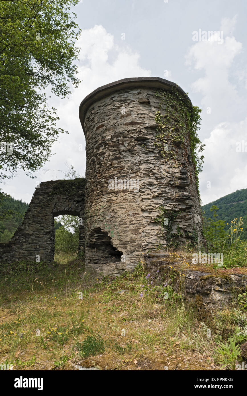 Castle rock with castle ruins Geroldstein in Heidenrod-Geroldstein, Germany Stock Photo