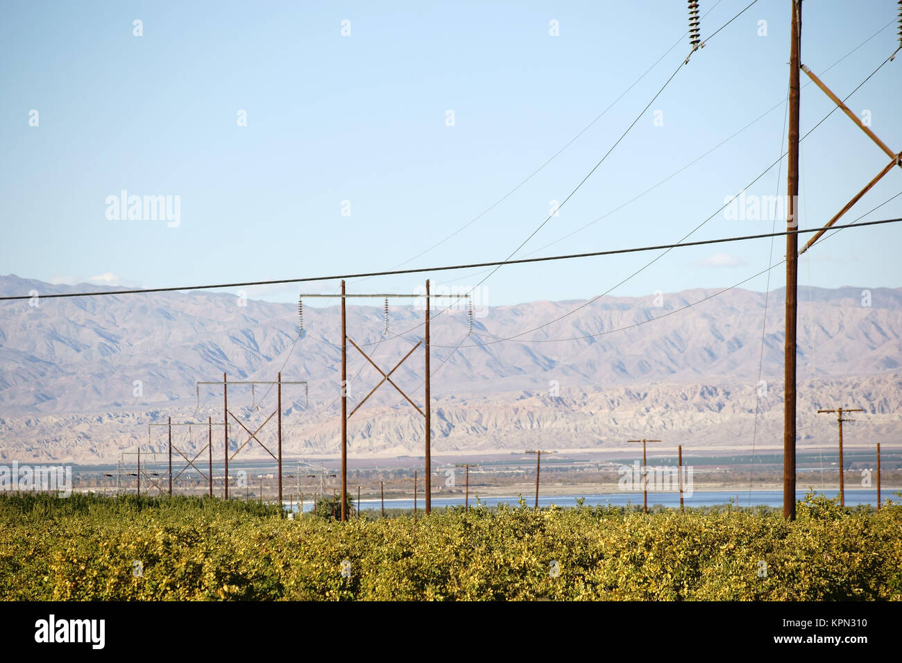 Eine Obstplantage am Saltonsee mit Stromversorgung und Bergen im Hintergrund. Stock Photo