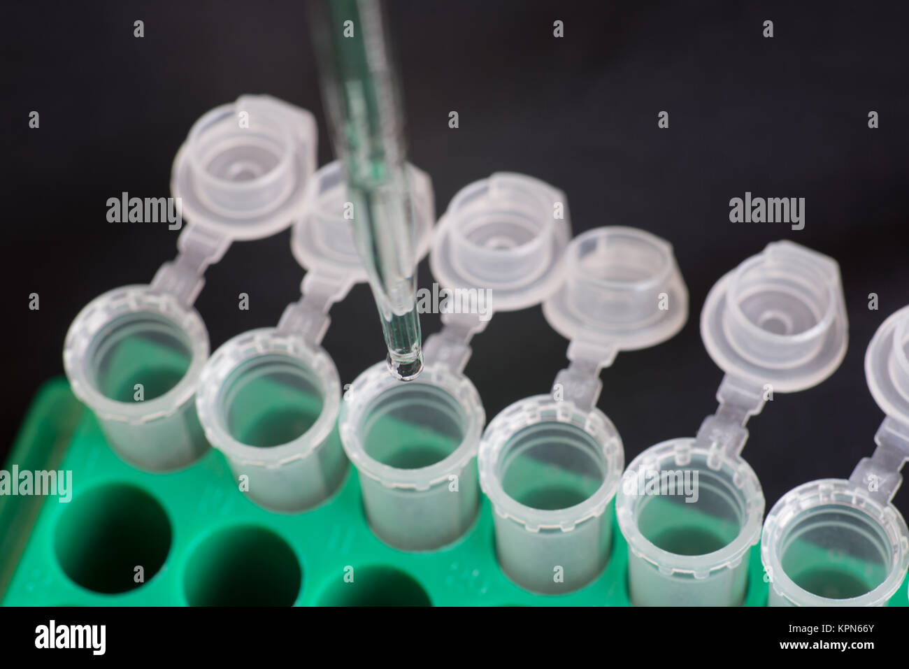 Micro centrifuge tube Stock Photo Alamy