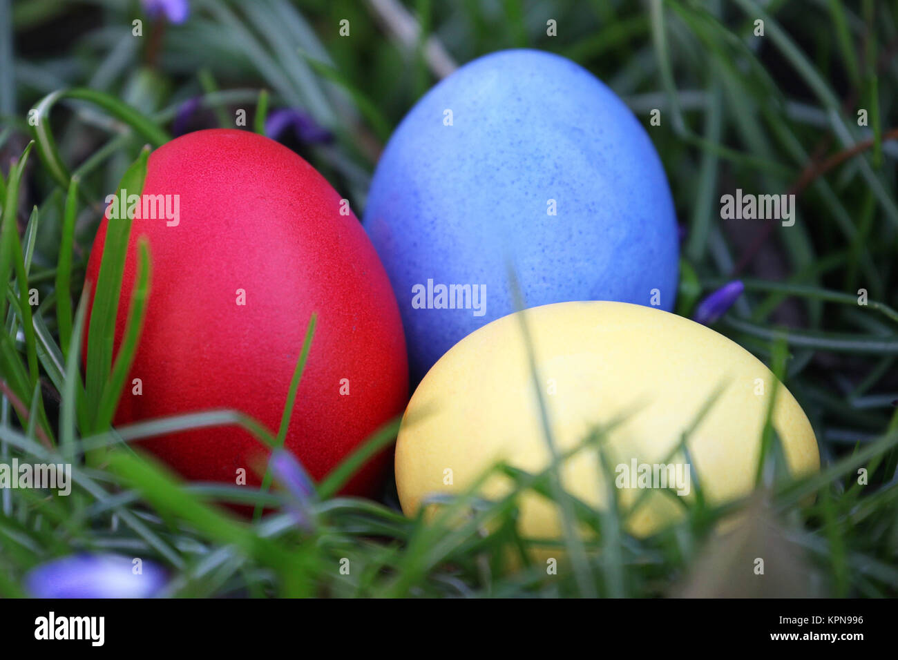 brightly colored eggs for easter in the grass Stock Photo