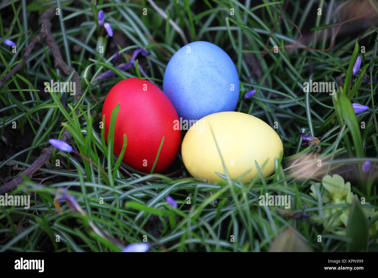 brightly colored eggs for easter in the grass Stock Photo