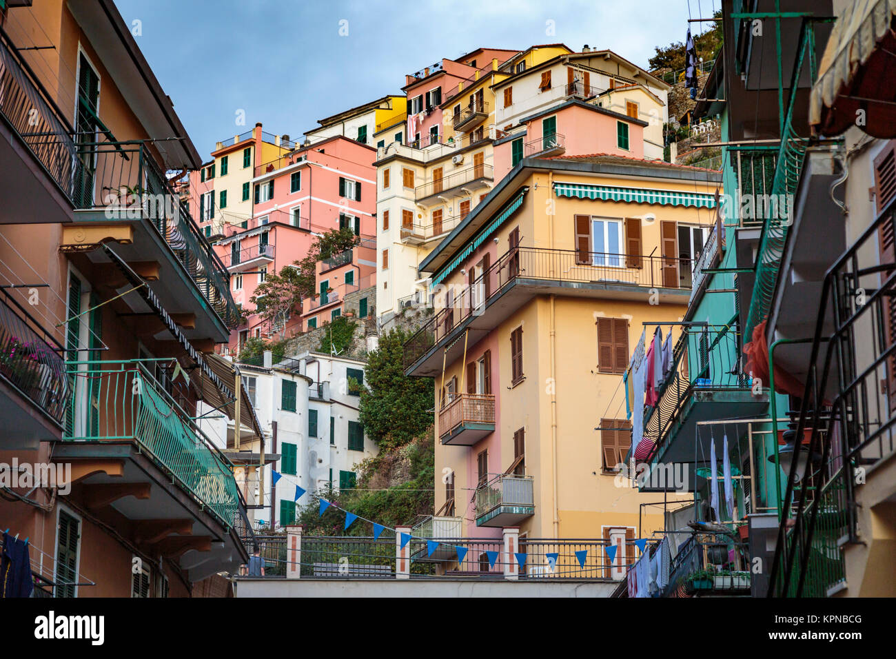 Colorful homes in the village of Manarola, Cinque terre, Liguria, Italy