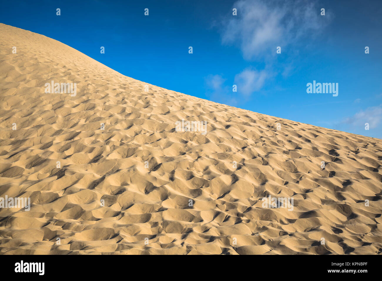 Dune du Pyla the largest sand dune in Europe, Aquitaine, France Stock