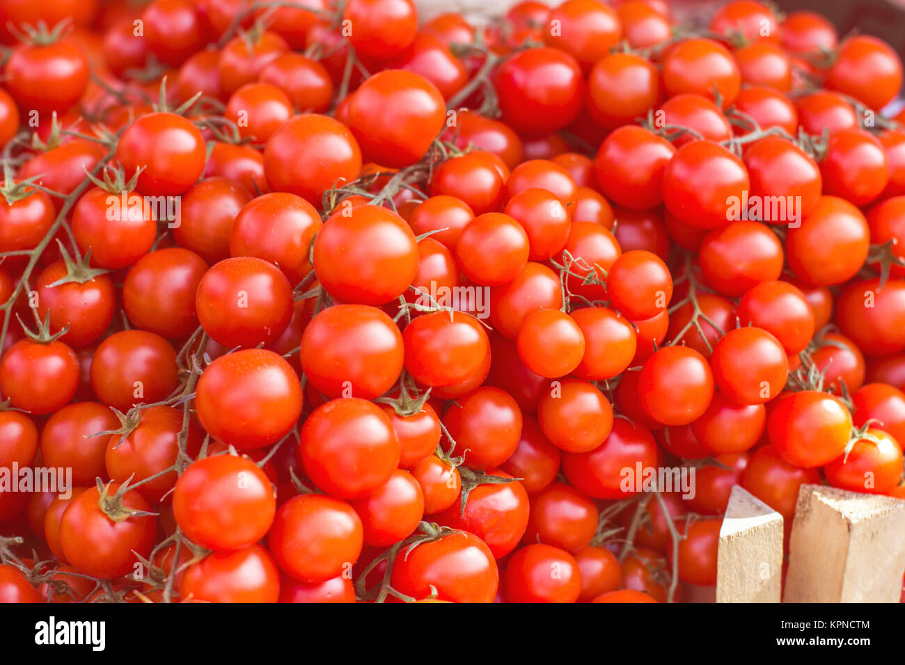 Fresh Cherry Tomatoes Stock Photo - Alamy