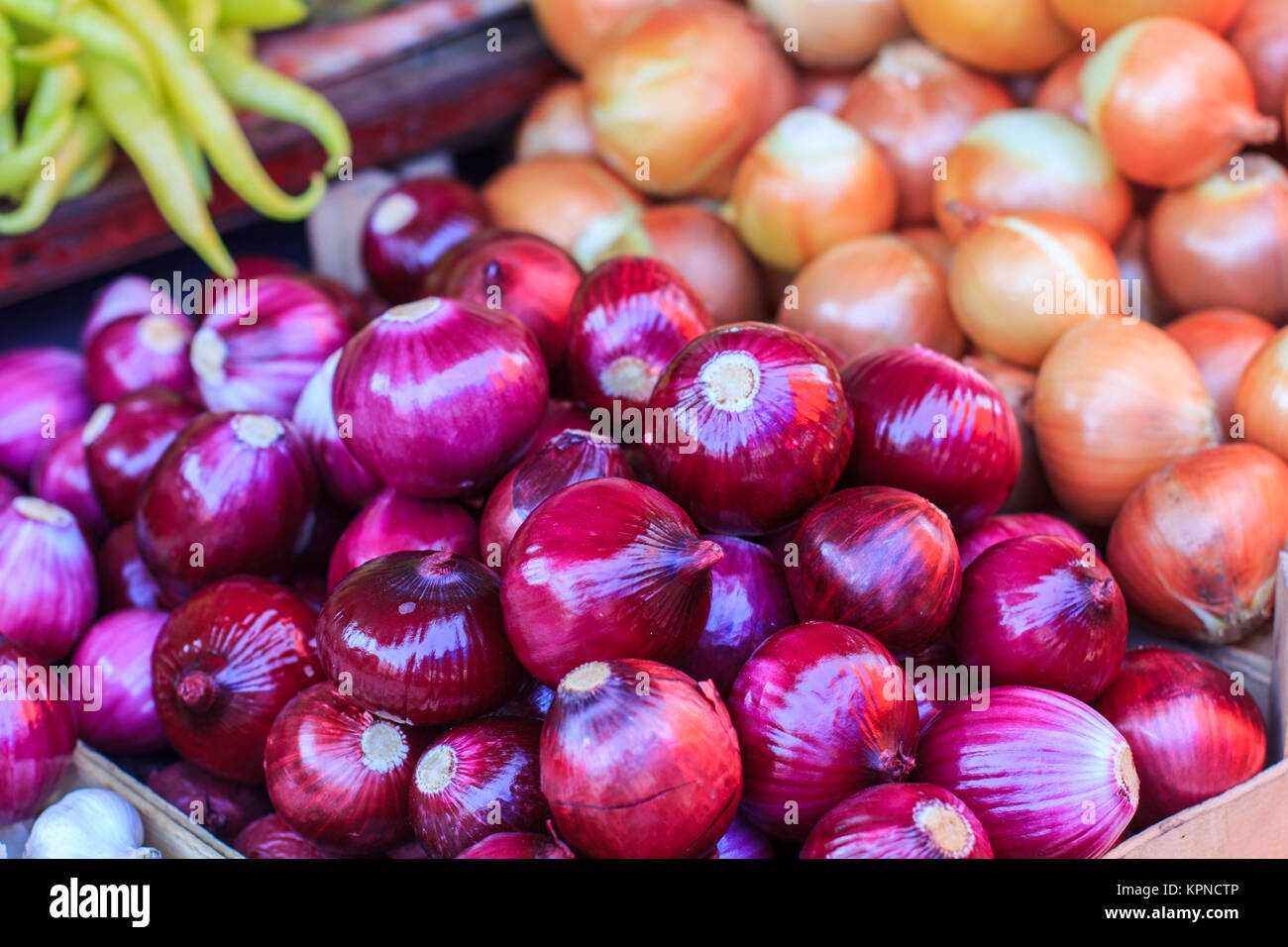 Fresh Onions Vegetable Stock Photo Alamy