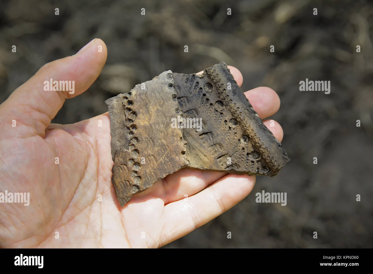 Archaeological findpieces of pottery with patterns applied to them