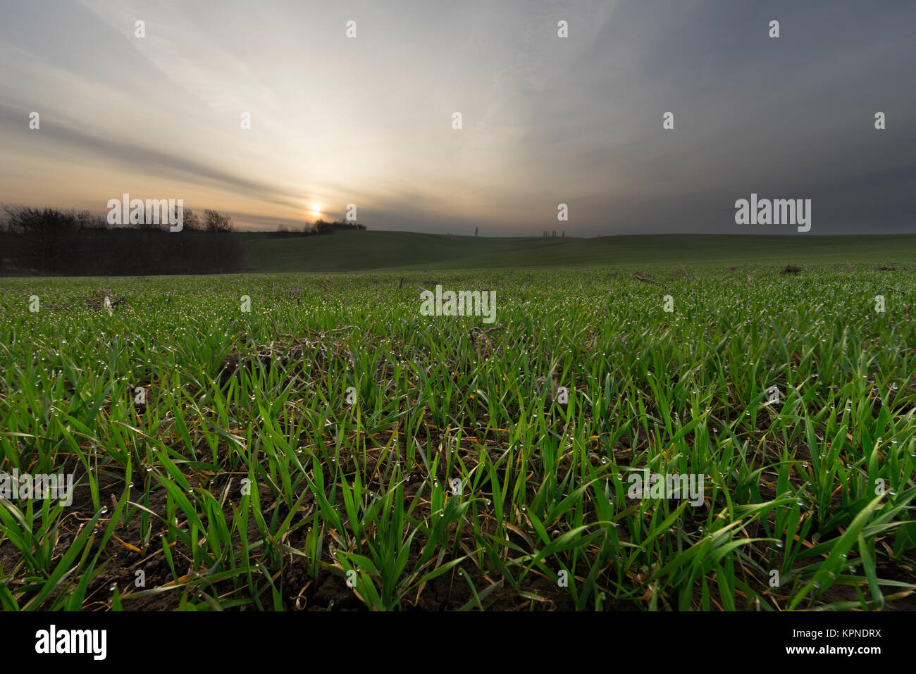 Sunrise In The Farmland Stock Photo - Alamy