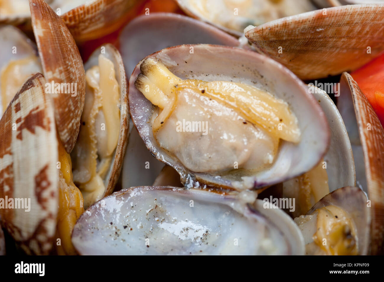 fresh clams on an iron skillet Stock Photo Alamy