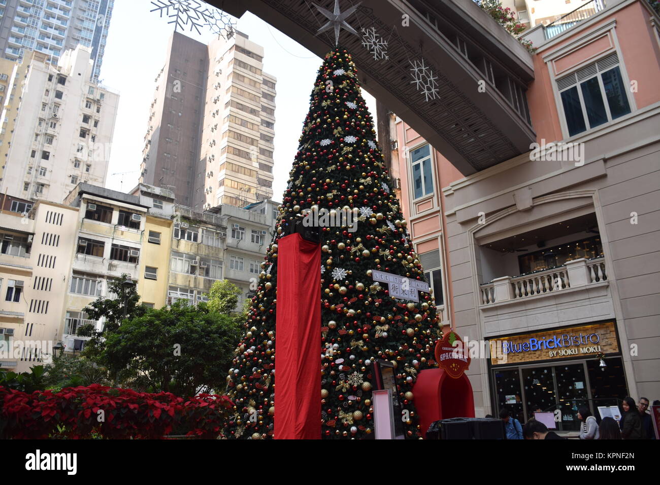 Hong kong tree hires stock photography and images Alamy