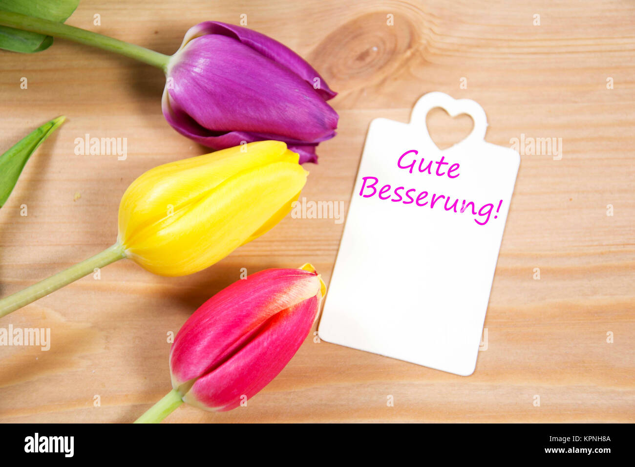 Get Well Card With Tulips High Resolution Stock Photography and Images ...