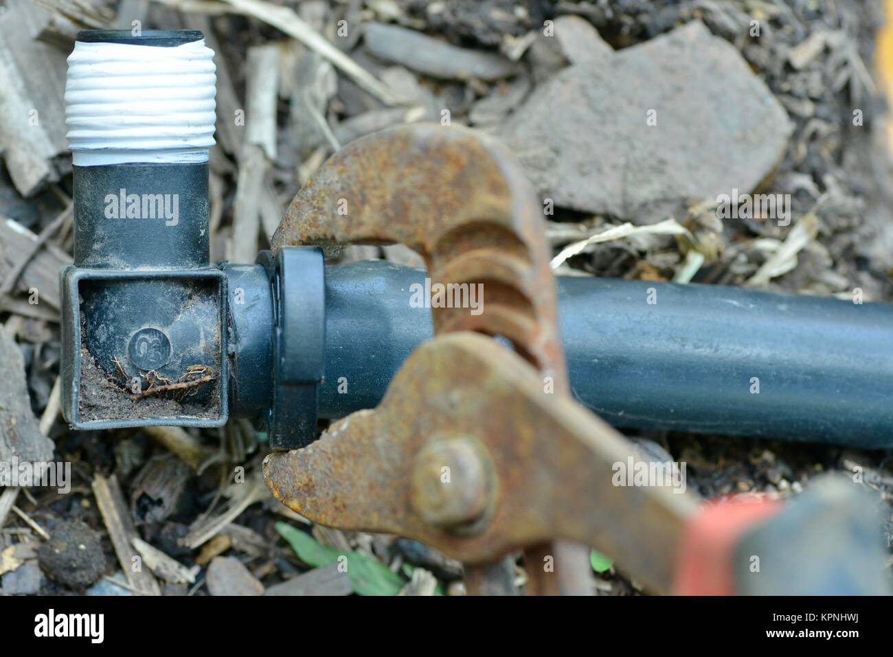 Step by step series on laying irrigation pipe for a home garden, using