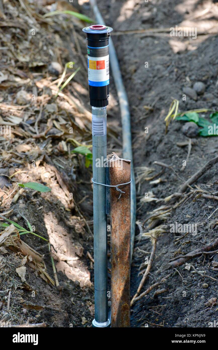 Step by step series on laying irrigation pipe for a home garden, using