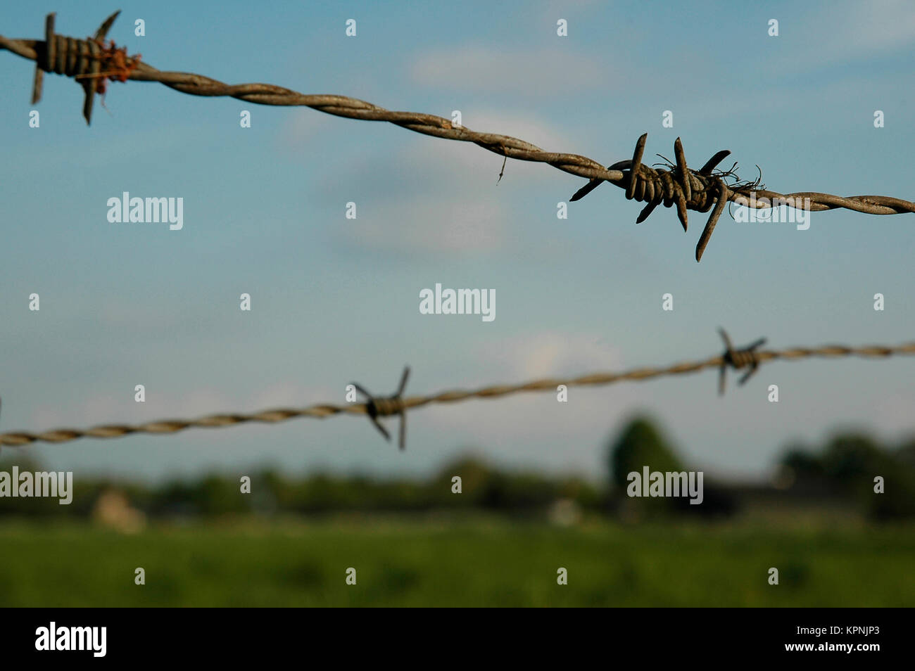 Watch the wire! Stock Photo Alamy