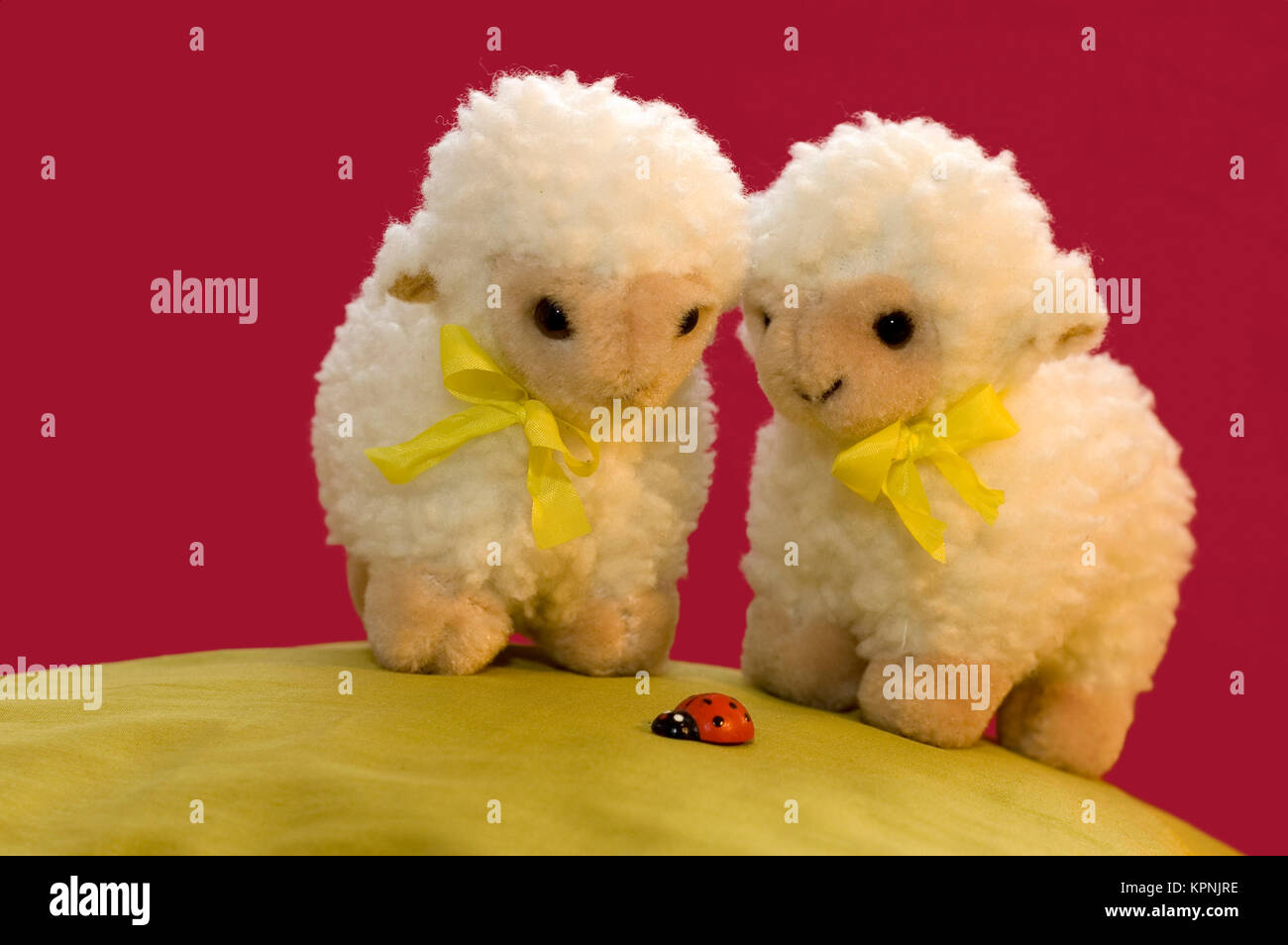 2 Sheep Looking At A Ladybird Stock Photo
