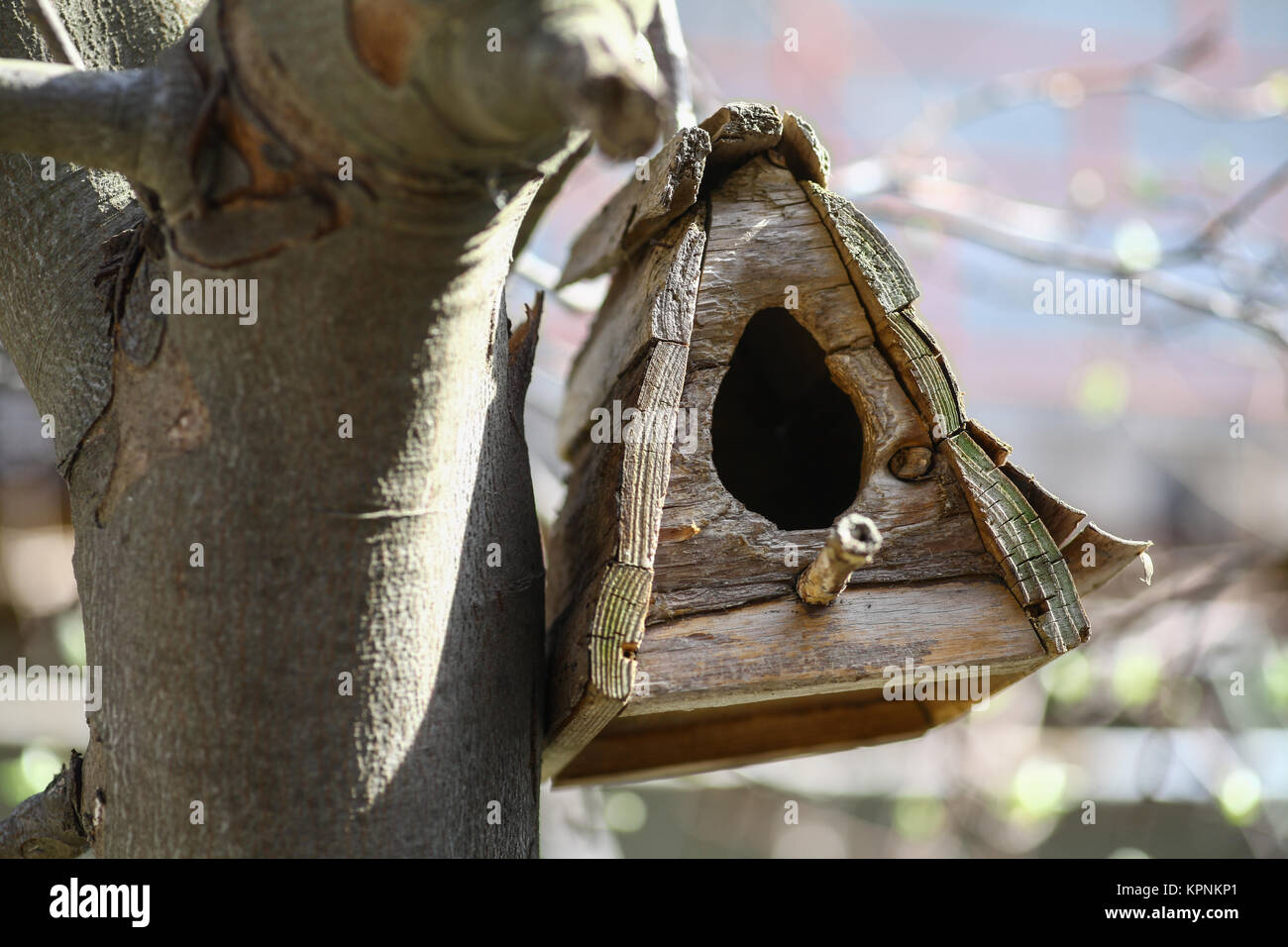 Wooden bird house Stock Photo