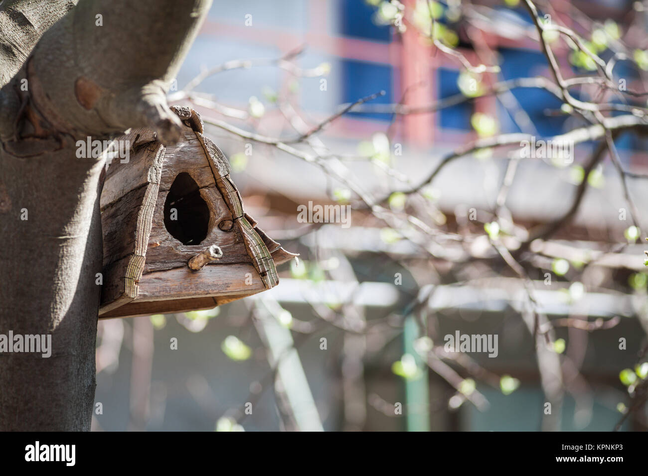 Wooden bird house Stock Photo