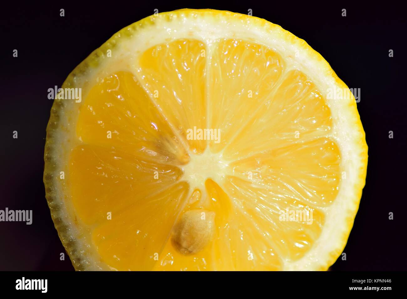 Horizontal Lemon Macro details of Lemon slices in horizontal frame Stock Photo - Alamy