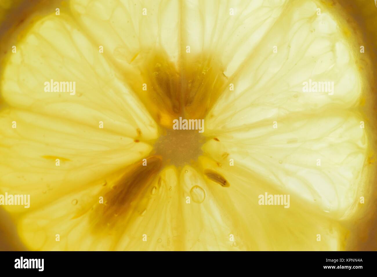 Horizontal Lemon Macro details of Lemon slices in horizontal frame Stock Photo - Alamy