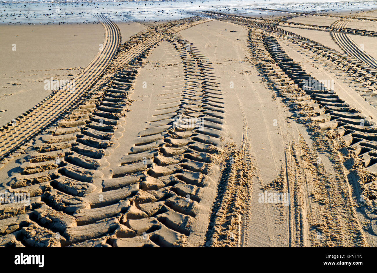 A view of tractor and trailer tyre marks in the sand on the beach at Sea Palling, Norfolk, England, United Kingdom. Stock Photo