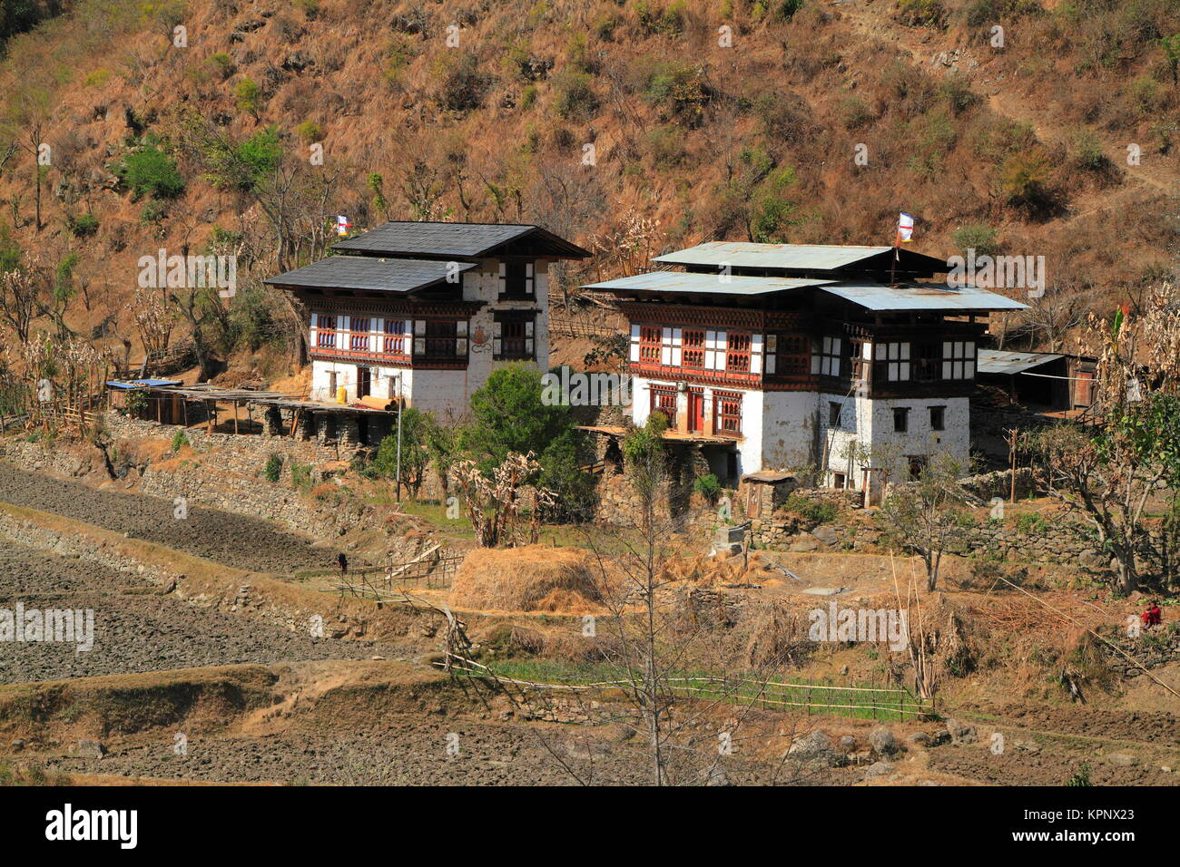 Bhutanese style houses hires stock photography and images Alamy
