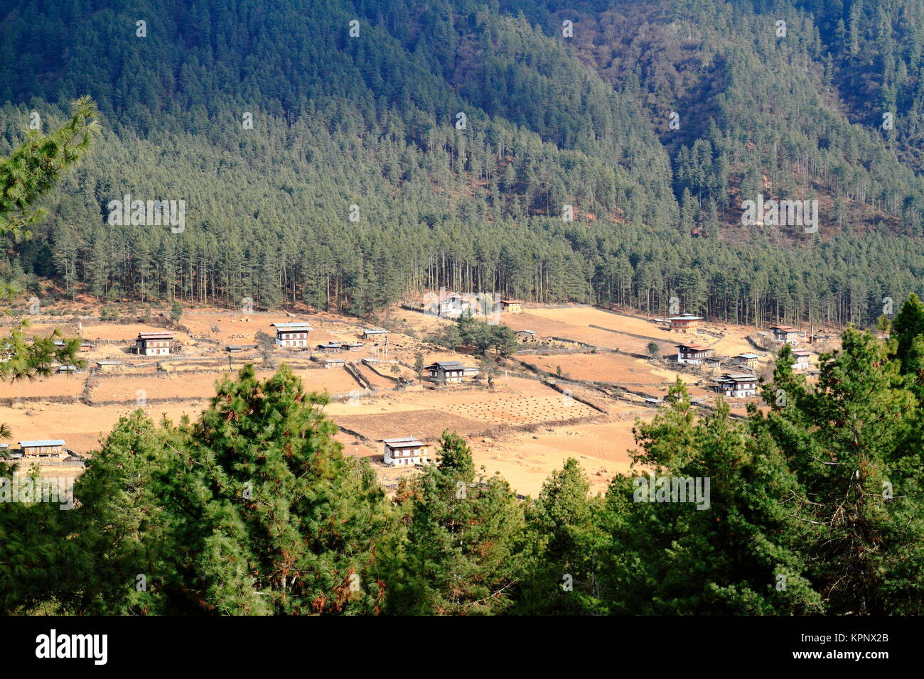 wangdue phodrang valley,bhutan Stock Photo